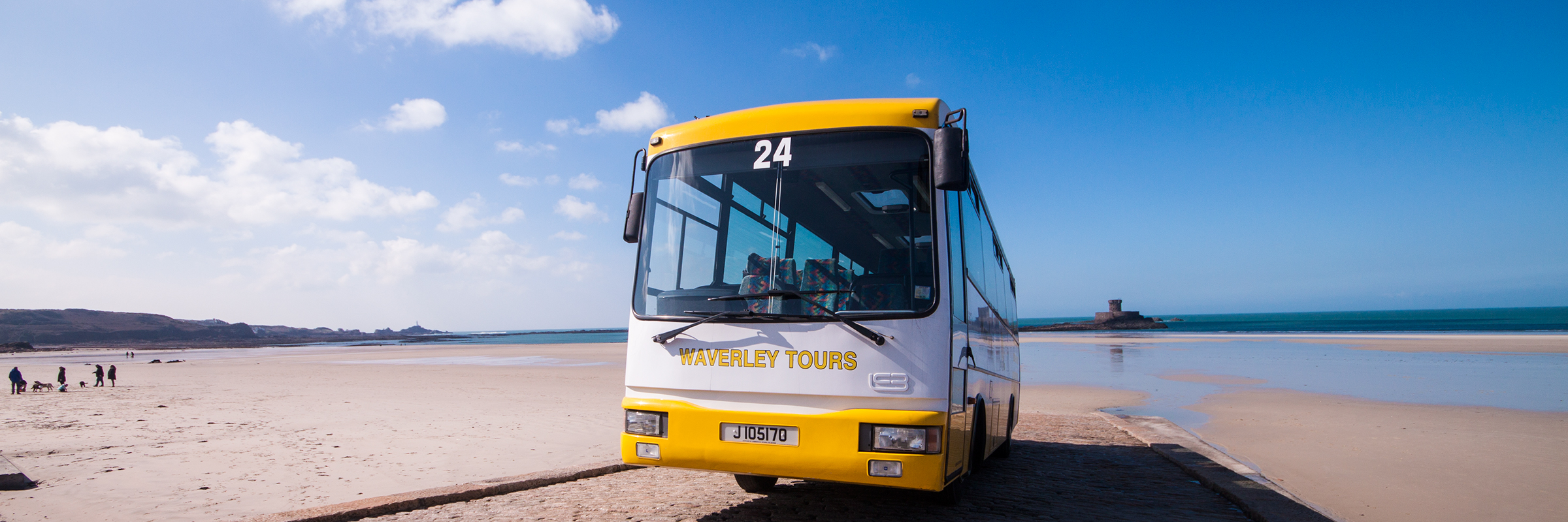Waverley Coaches Jersey